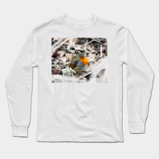 Frosty Robin Long Sleeve T-Shirt